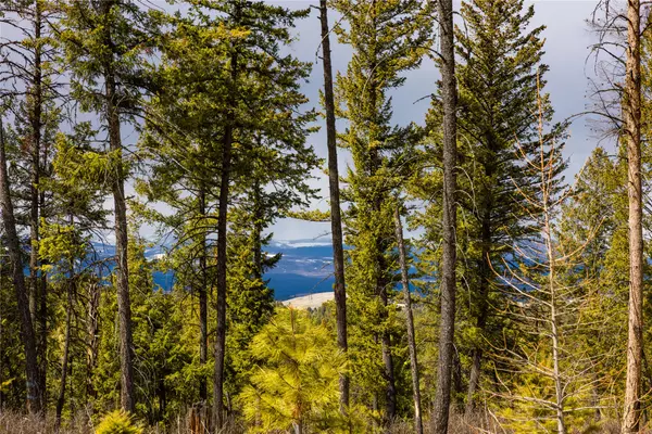 Eureka, MT 59917,1243 Tobacco Valley View RD