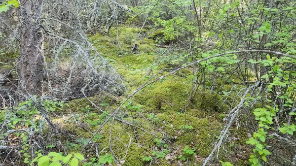 Rollins, MT 59931,38785 Mary B LN