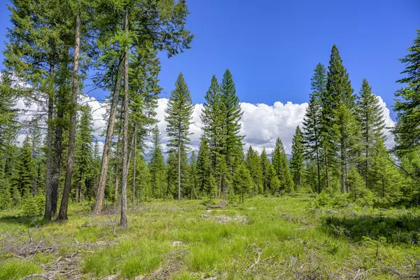 Condon, MT 59826,NHN Lindbergh Lake RD