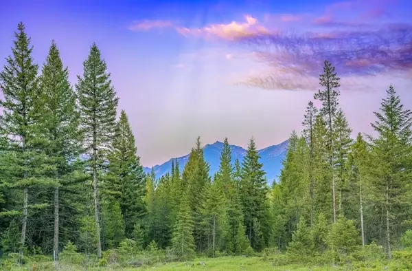 Condon, MT 59826,NHN Lindbergh Lake RD