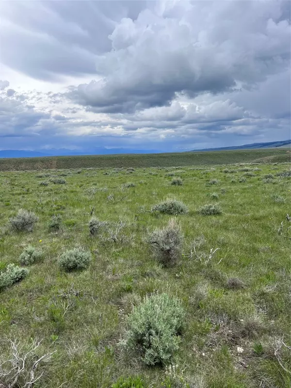 Wisdom, MT 59761,Tract 22 Steel Creek RD