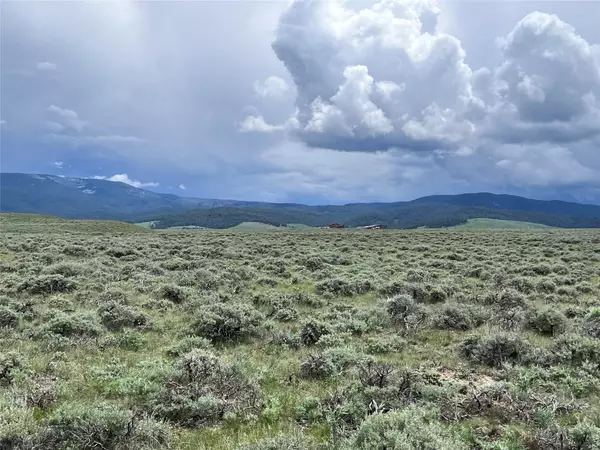 Wisdom, MT 59761,Tract 11 Steel Creek RD