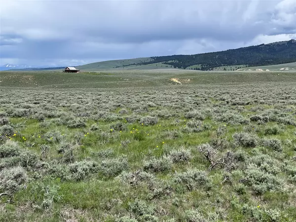 Wisdom, MT 59761,Tract 10 Steel Creek RD