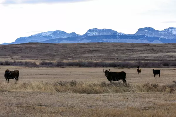 Bynum, MT 59419,161 Evan Campbell RD