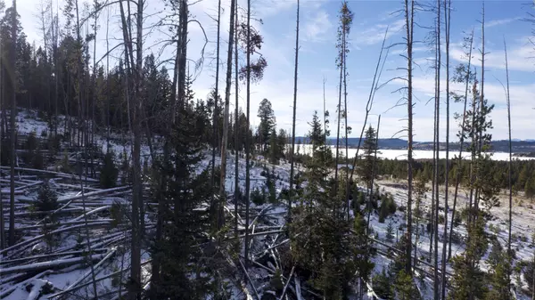 Lot 38 Mountain View EST, Anaconda, MT 59711