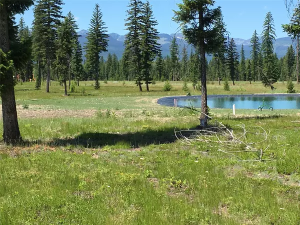 Swan Valley, MT 59826,223 Mission Vista LN