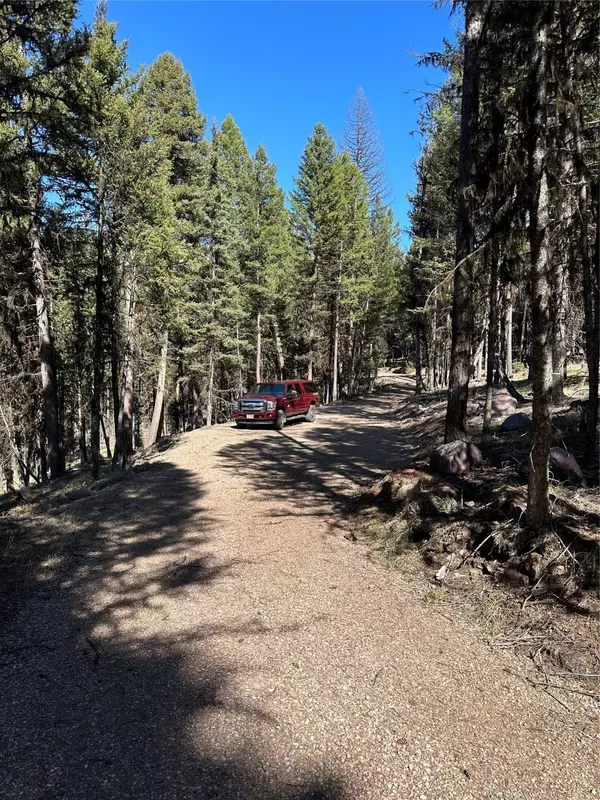 Seeley Lake, MT 59868,1295 Stage Coach DR