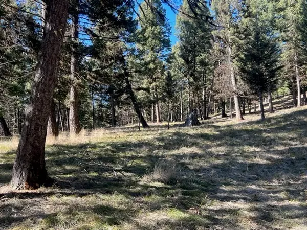 Seeley Lake, MT 59868,240 Wolverine DR