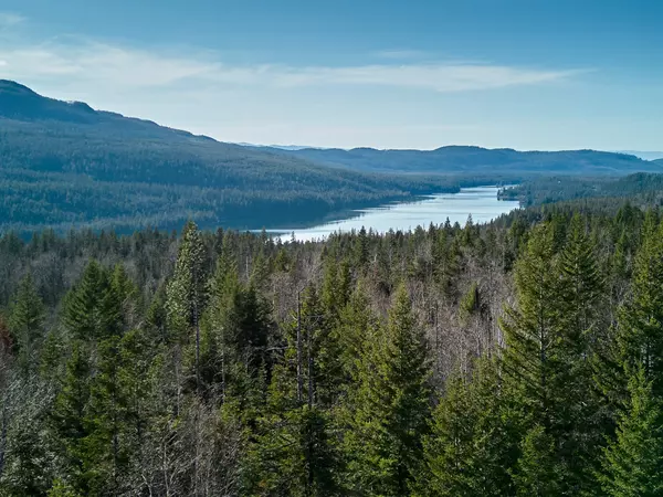 Bigfork, MT 59911,NHN Swan Lake Overlook