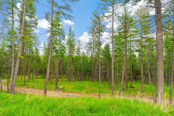 1624 Whitefish Ranch RD, Whitefish, MT 59937