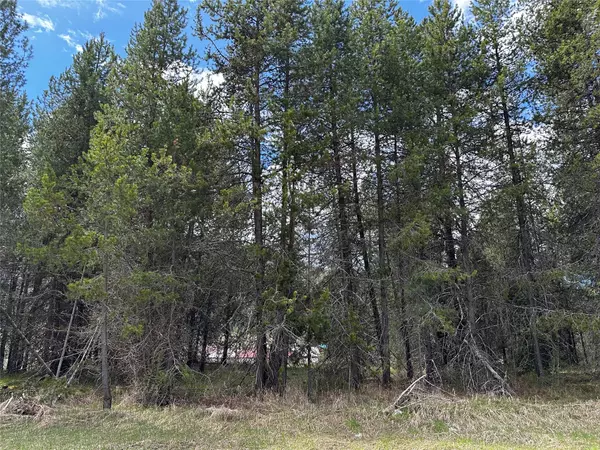 De Borgia, MT 59830,24 De Borgia-Haugen Frontage RD