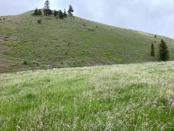 Missoula, MT 59803,LOT 3 Miller Creek RD