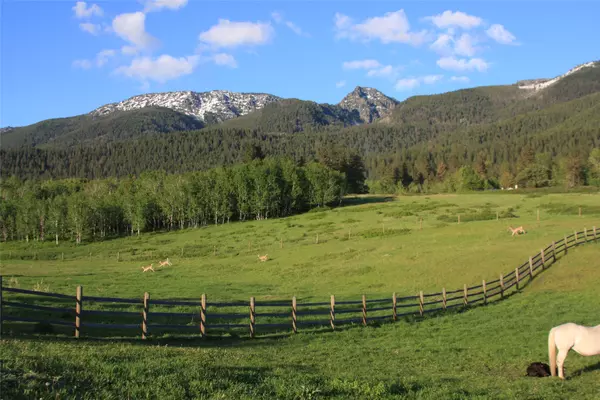 Ronan, MT 59864,41698 Canal RD