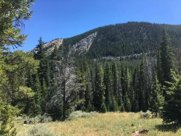 216 Trapper Creek RD, Dillon, MT 59725