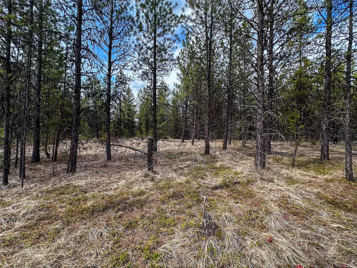 Libby, MT 59923,Lot 10 ACM RD N