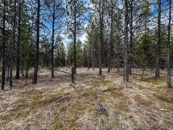 Lot 10 ACM RD N, Libby, MT 59923