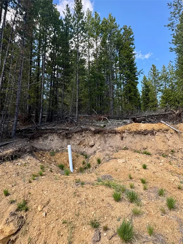Anaconda, MT 59711,NHN Perkins Gulch RD
