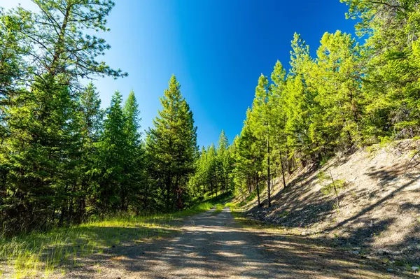 Libby, MT 59923,467 Wolf Creek RD