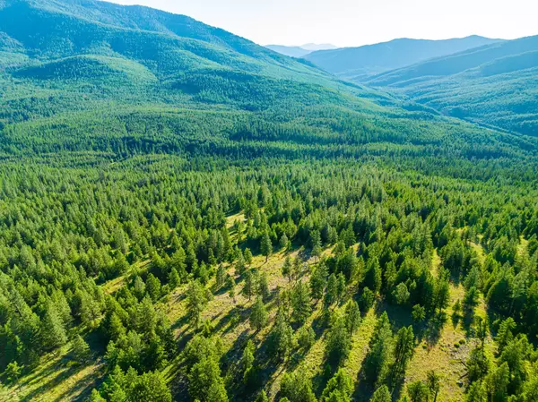 Libby, MT 59923,467 Wolf Creek RD