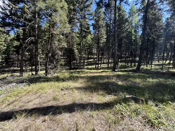 Seeley Lake, MT 59868,643 & 589 Stagecoach DR