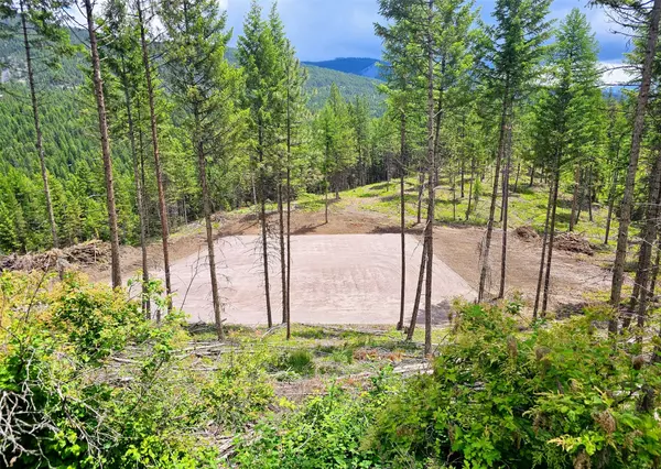 Plains, MT 59859,23 Labrador LN