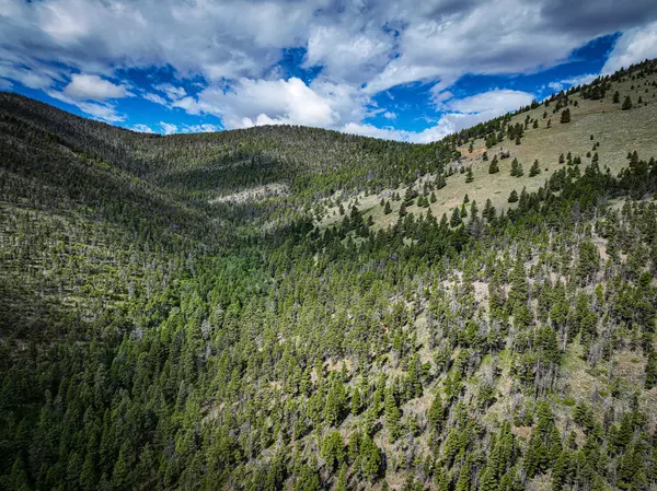 Wolf Creek, MT 59648,4540 Denton Gulch RD