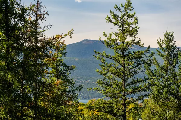 Bigfork, MT 59911,266 Eagle Bend DR