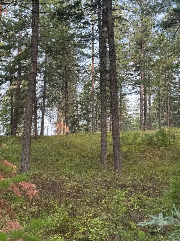 Polson, MT 59860,NHN Rocky Point RD