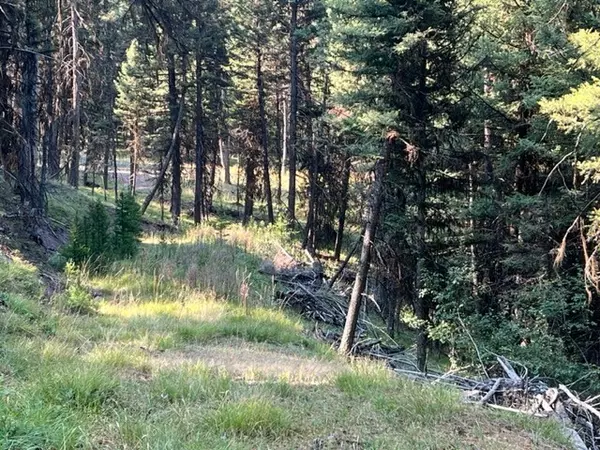 Seeley Lake, MT 59868,433 Stage Coach DR