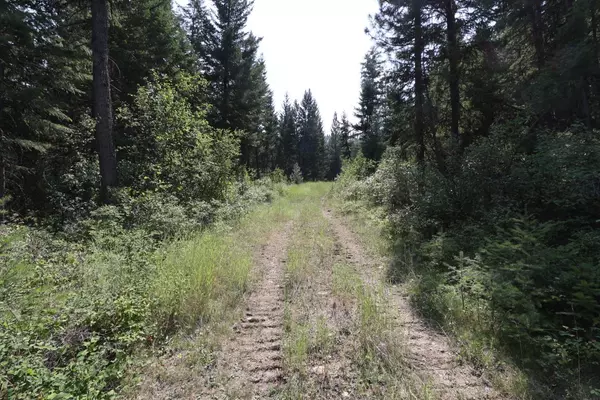 Plains, MT 59859,NHN Tract 1C E Fork Combest Creek RD