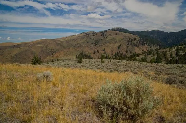 Florence, MT 59833,Lot 2 Sapphire Ridge Ranch