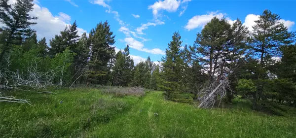 Helmville, MT 59843,TBD Hall Creek Tract