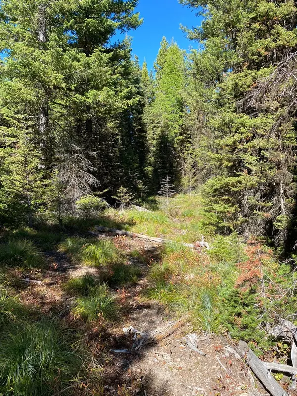 Frenchtown, MT 59834,NHN Mill Creek RD