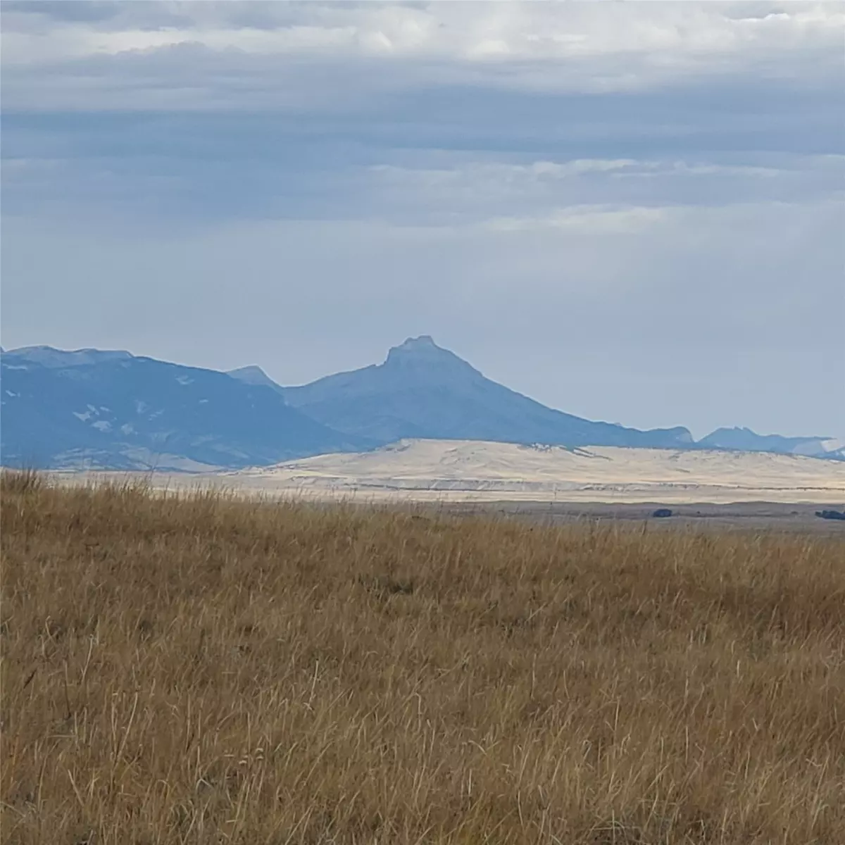 Augusta, MT 59410,NHN N Tamarack DR