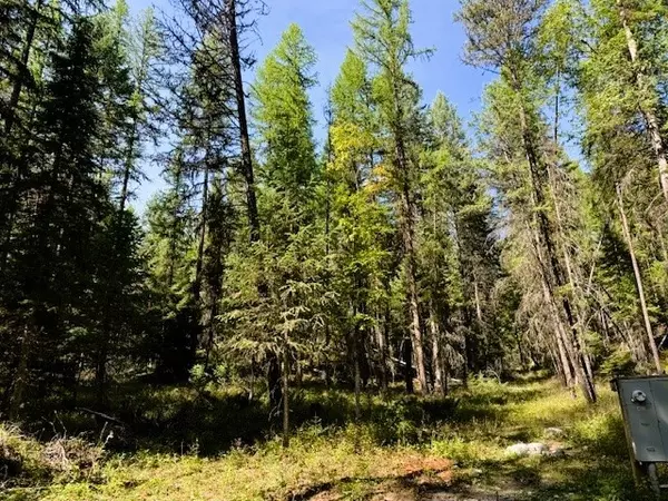 Whitefish, MT 59937,747 Beaver Lake RD