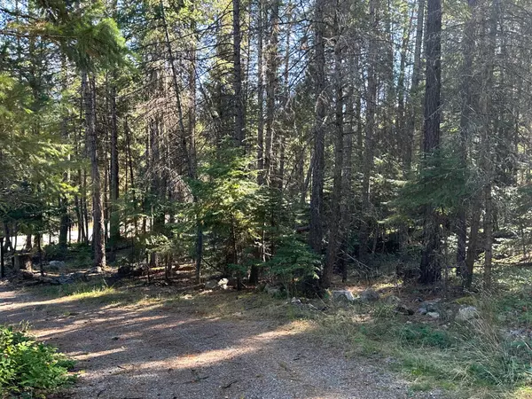 Thompson Falls, MT 59873,26 Tamarack LN