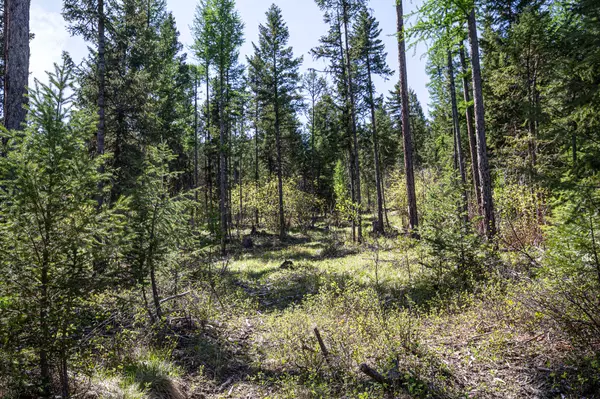 Kila, MT 59920,NHN Open Sky WAY