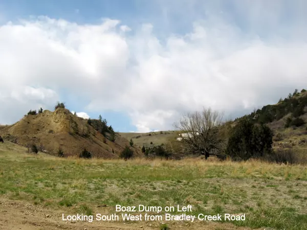 Norris, MT 59745,TBD Bradley Creek RD
