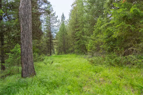 Whitefish, MT 59937,NHN Lupfer RD