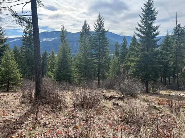 Noxon, MT 59853,5 Red Fir LN