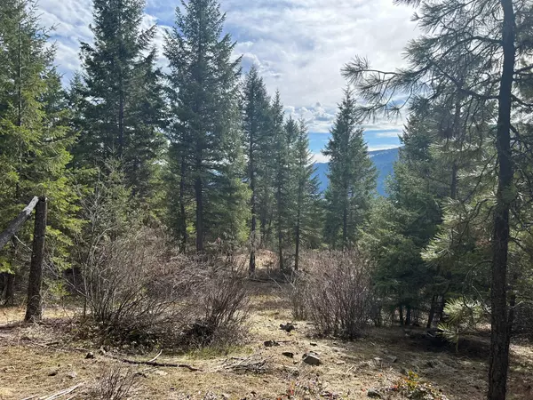 Noxon, MT 59853,5 Red Fir LN