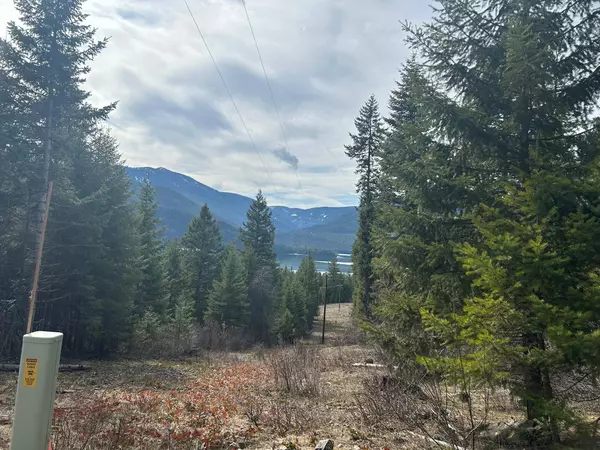 Noxon, MT 59853,5 Red Fir LN