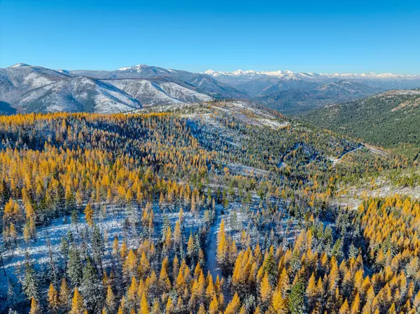 Nhn McGinnis Meadows - Bayhorse Road Section 7, Libby, MT 59923