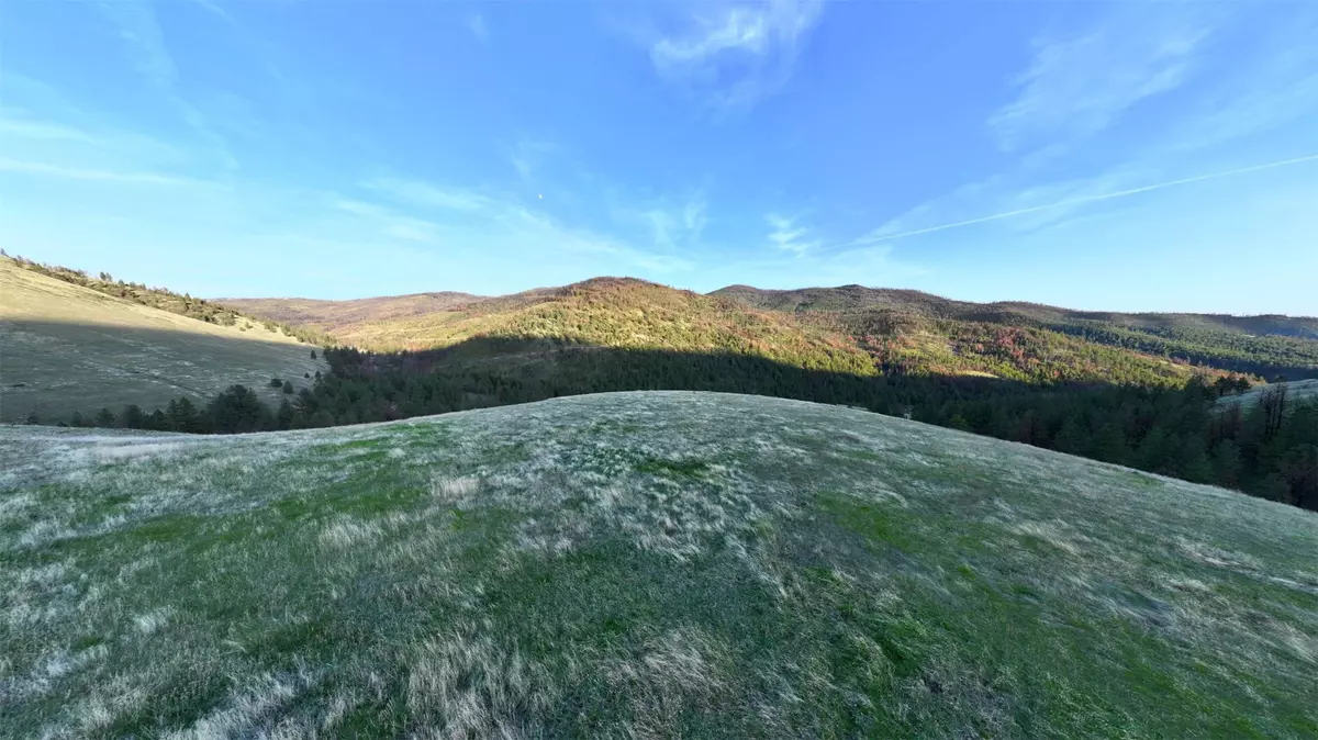 Paradise, MT 59856,NHN McLaughlin Creek RD