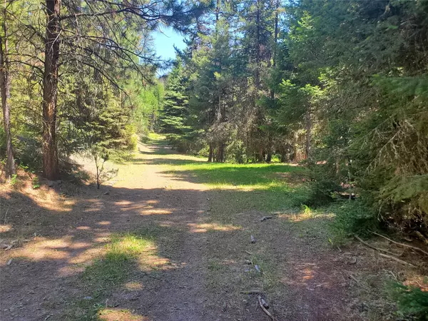 Helmville, MT 59843,NHN Wales Creek RD