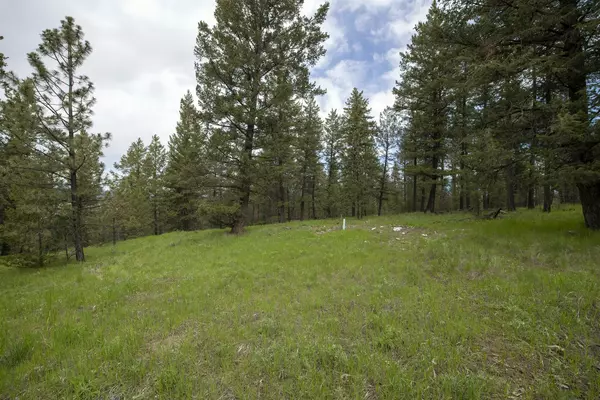 Rexford, MT 59930,Lot 3 Elk View