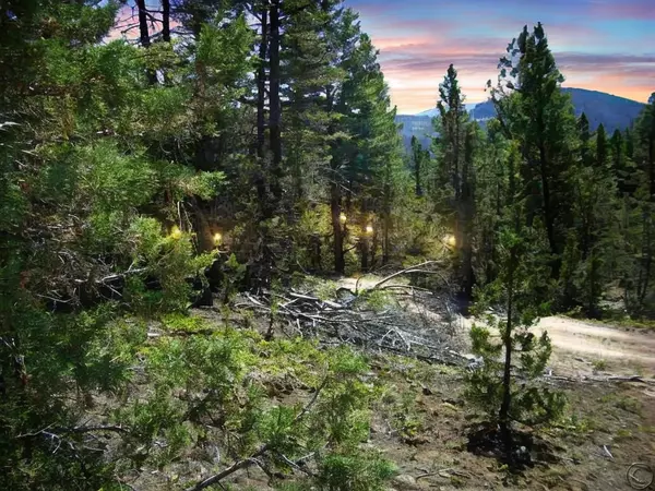 179 Boarding House Flats RD, Philipsburg, MT 59858