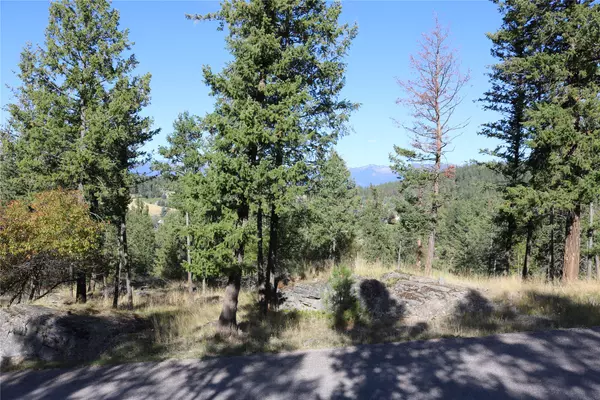 Bigfork, MT 59911,175 Aerie PL