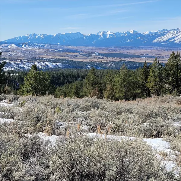 Lot A Sapphire Ranch TRL, Corvallis, MT 59828