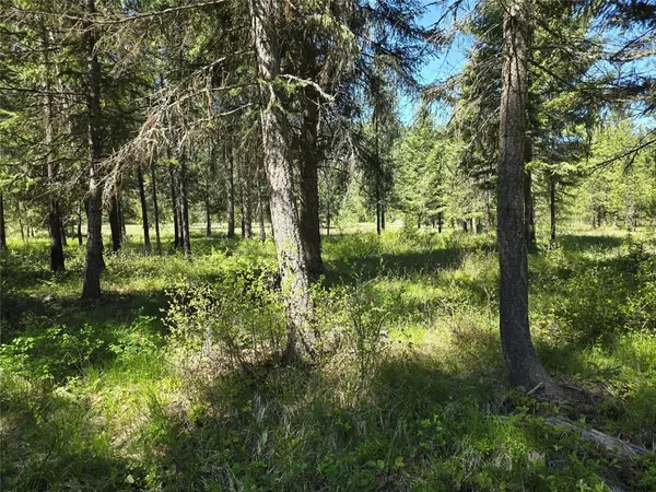St Regis, MT 59866,NH Fairview DR